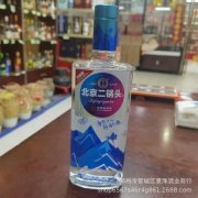 浓香型陈年老酒窖藏珍品白酒 B08